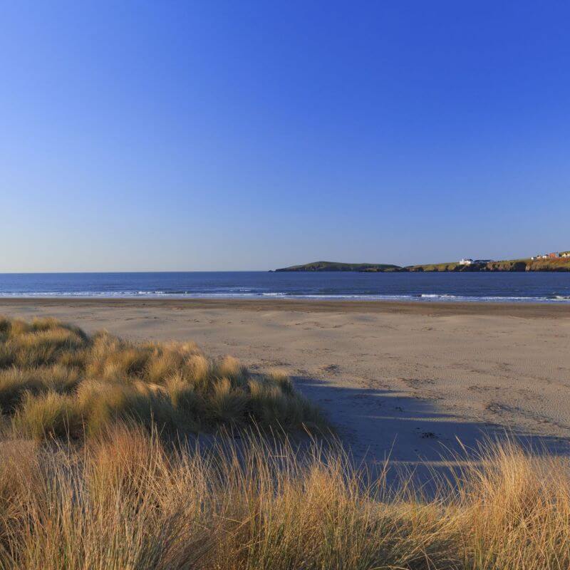 Cardigan Bay